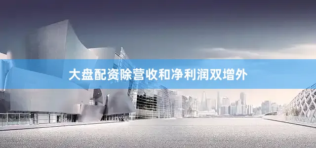 大盘配资除营收和净利润双增外