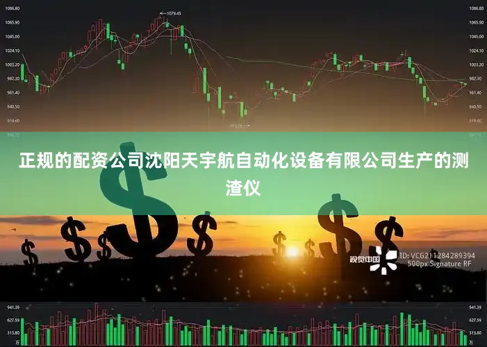 正规的配资公司沈阳天宇航自动化设备有限公司生产的测渣仪