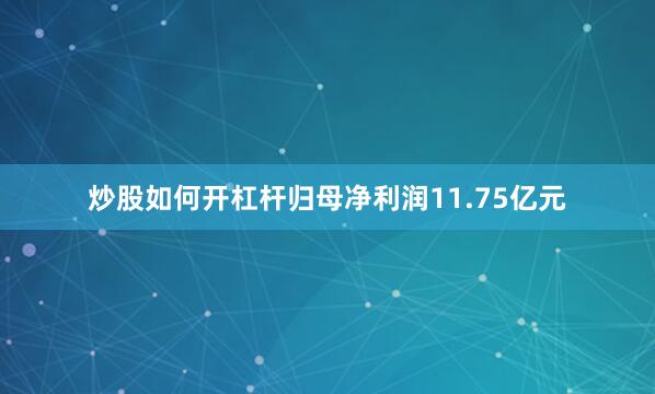 炒股如何开杠杆归母净利润11.75亿元
